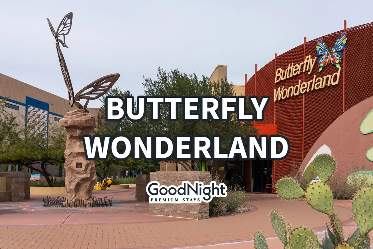 The entrance to Butterfly Wonderland featuring a large butterfly sculpture, the welcoming entrance signage, and desert cacti in the foreground. The playful colors and landscaping set an enchanting, family-friendly tone.