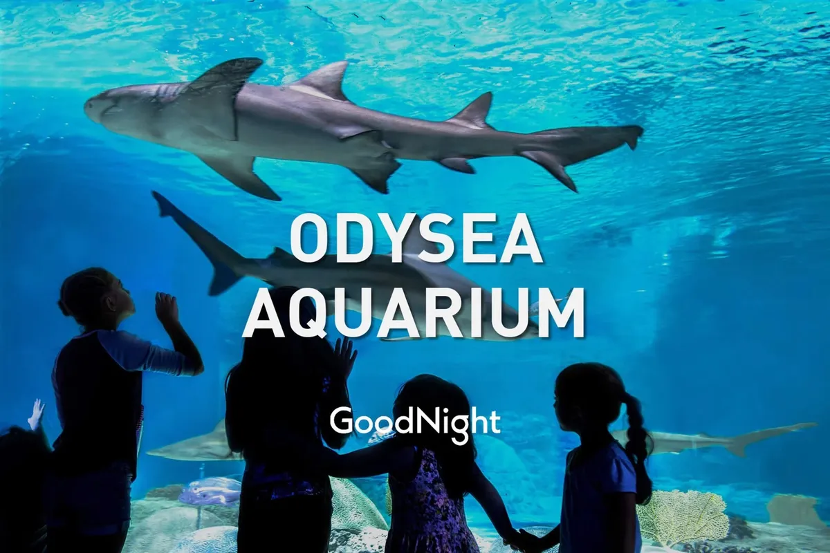 Children stare in awe as sharks swim overhead inside a large, beautifully illuminated aquarium. The scene captures both the vibrant marine life and the wonder on the children's faces, emphasizing interactive, educational experiences.